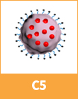 c5 Exosome 캐리어
